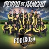 la poderosa banda san juan - Te Falto Yo