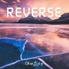 ChenDjoy - Reverse