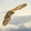 ChenDjoy - Hover
