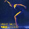 Robby Schulz - Night Falls