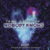 Lady_effective - Nobody Knows