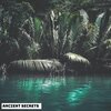 Angie Hawke - Ancient Spirits