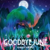 Goodbye June - Bamboozler