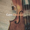 Andrew Hamilton、Classical Music For Relaxation - Elgar: Salut d'amour, Op.12