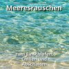 Meeresrauschen in bester Qualität、Naturgeräusche、Meeres Rauschen - Ohne Stress im Sand