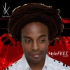 John Forte《StyleFREE》[MP3/LRC]