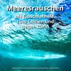 Meeresrauschen in bester Aufnahmequalität、Naturgeräusche、Meeres Rauschen - Strahlende Impulse