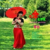 李红 - 花伞在雨季(幷四舞曲)