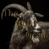 The Wild Goat、Claudio Dibaise、Jeff Bowman、Jim Wilson - Here come The Rain (feat. Claudio Dibaise, Jeff Bowman & Jim Wilson)
