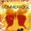 Tor Endresen - Sommerfugl