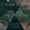 Calum Scott、Leona Lewis - You Are The Reason (Duet Version)