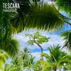 Tescana - Paradise Cove (Radio Edit)
