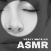 Pure Sound Universe、Ambient Sounds Collection、Calming Sounds Sanctuary《Heavy Snoring Pt. 1》[MP3/LRC]