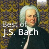 Musica Amphion、Johann Sebastian Bach《I. —》[MP3/LRC]