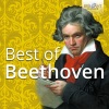 Staatskapelle Dresden、Herbert Blomstedt - I. Allegro con brio