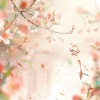 小歌Mlw - 众