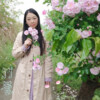 竹萱 - 夏伤