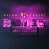 Nick Jonas、Robin Schulz《Right Now (Robin Schulz VIP Remix)》[MP3/LRC]