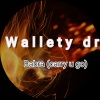 Wallety dr《Babra (Carry Go)》[MP3/LRC]