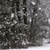 陈梦西 - Snowdreams