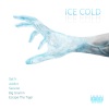 SAT1R、Escape the Tiger、Savvioo、Addixt、Big Gramm、Andrej Zarnovican - ICE COLD (Explicit)