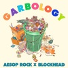 Aesop Rock、Blockhead - The Only Picture