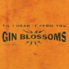 gin blossoms - Til I Hear It From You (From 