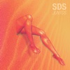 Surfistas Del Sistema - Juntos