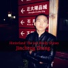 Jincheng Zhang - Illusion The Sun Really Shines