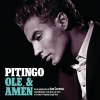 pitingo - Lucha Por Su Dinero (She Works Hard For The Money)