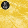 Last Dinosaurs - Time & Place