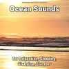 Natural Sounds、Ocean Sounds、Nature Sounds - Ocean Waves Sounds