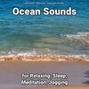 Ocean Sounds、Nature Sounds、Ocean Sounds Recordings - Ocean Sounds
