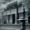 Kingsley凡 - 他乡