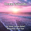 Ocean Sounds、Nature Sounds、Ocean Sounds Recordings - Calming Down Beach Sounds