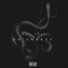 Woo Reyz、Bouba Savage、OnPointLikeOP、PNV Jay - No Snakes (Explicit)