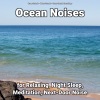 Ocean Sounds、Nature Sounds、Ocean Sounds Recordings - Nature Sounds