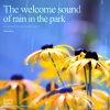 힐링 네이쳐 Nature Sound Band - 공원을 적시는 반가운 빗소리 The welcome sound of rain in the park.