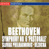 Bystrik Rezucha、Slovak Philharmonic - I. Allegro ma non troppo
