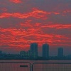Ekim Cilek、9infidell - Roses (SlowedRemix)