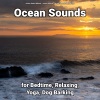 Ocean Sounds、Ocean Sounds Recordings、Ocean Sound Effects - Water Noises Soundscapes for Deep Sleep