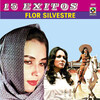 Flor Silvestre - Mi Destino Fue Quererte