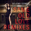 Selena Gomez、Borgore - Same Old Love (Borgore Remix)