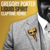 Gregory Porter - Liquid Spirit (Claptone Remix / Full Vocal Version)