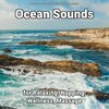 Ocean Sounds、Nature Sounds、Ocean Sounds Recordings - Sea Waves
