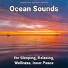 Sea Sounds for Sleep、Nature Sounds、Ocean Sounds - Splendid Pictures