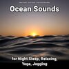 Ocean Sounds、Nature Sounds、Ocean Sounds Recordings - Exquisite Brain Waves