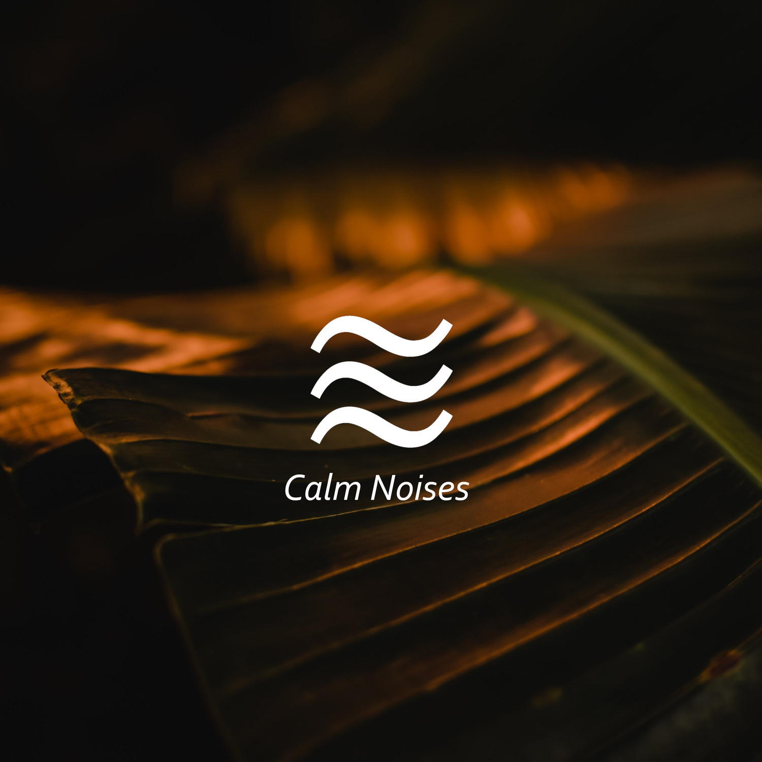 Carl Riley - Relaxing Brown Doze Noise