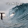 Ocean Sounds、Nature Sounds、Ocean Sounds Recordings - Nature Sounds