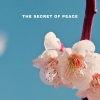 Buddha's Flute - The Secret of Peace